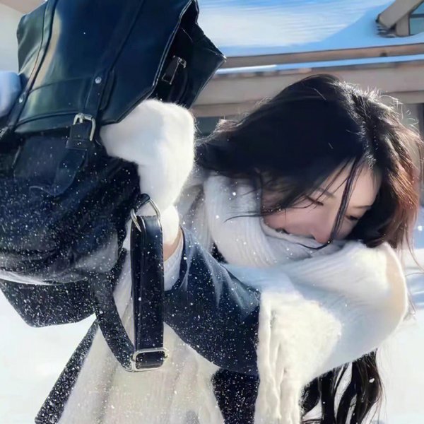 巴塔哥尼亚